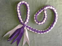 Tuggles Long Slip Lead with Handle